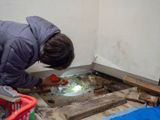 Best Commercial Mold Inspection  in South Wenatchee, WA
