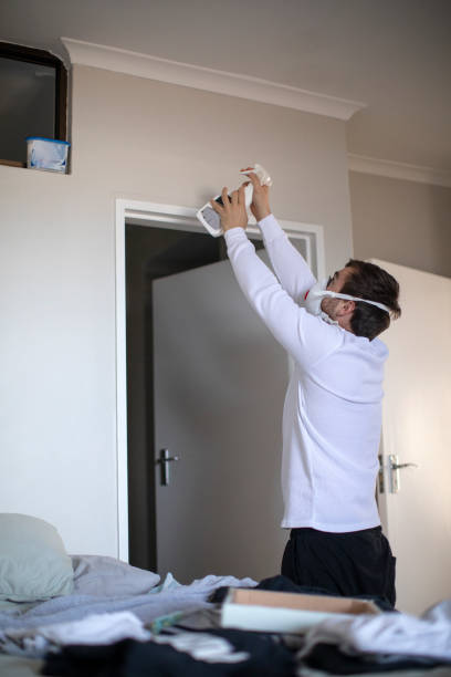 Best Environmental Consulting for Mold Prevention  in South Wenatchee, WA
